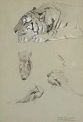 Horatio Walker, At the London Zoo, graphite on paper