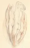 Miller Brittain, Untitled - Four Nudes, 1951, conte and graphite on paper
