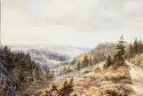 James Duncan, Untitled - Wooded Landscape with Pheasant, watercolour on paper