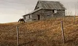 Leonard James Gibbs, Untitled - Barn and Horse