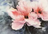 Ann Hunter, Poppies, watercolour on paper