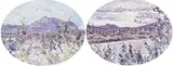 Dorothy Knowles, White Daisies, from Mountain Series