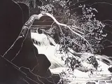 Rushing River, Lake of the Woods by Walter J. Phillips, 1931, wood engraving on paper, sold Nov 1997