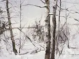 Allen Sapp, Not Too Many Trees