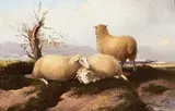 Eugène Verboeckhoven, Untitled - Three Sheep