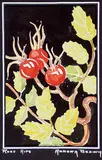 Annora Brown, Rose Hips