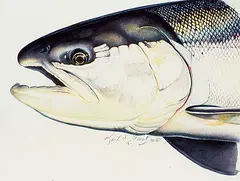 Karl A. Geist, Steel Head I, 1992, watercolour on paper
