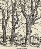 James McLaren Nicoll, From Our Window