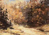 Georgia Jarvis, Fall, Halliburton