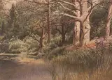 Thomas Mower Martin, Beeches by the Lake