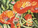 Gabor L. Nagy, Oriental Poppies, oil on paper board