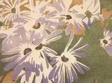 Walter J. Phillips, Cineraria #12, 1928, colour wood block on paper
