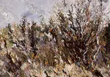 Hendrik Bres, Willows and Other Growth on the Lobstick