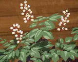 A. J. Casson, Winter Berries