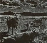 Joseph Fafard, Moon Walk #11/20, 1987, etching on paper