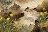 Annora Brown, Untitled - Mountain Falls with Flowers