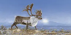 Randy Fehr, Arctic Majestic - Caribou, 1991, acrylic on masonite