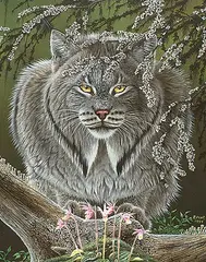 Randy Fehr, Of Lynx, Lichens and Ladyslippers, 1994, acrylic on masonite
