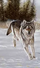 Randy Fehr, Running Free Wolf, 1993, acrylic on masonite
