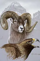 Still Wilderness Composite - Sheep and Hawk by Randy Fehr, 1995, acrylic on masonite, sold Nov 1996