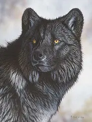 Randy Fehr, Trigger Wolf Portrait, 1994, acrylic on masonite
