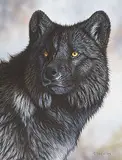 Randy Fehr, Trigger Wolf Portrait