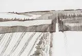 David Pugh, Untitled - Foothills