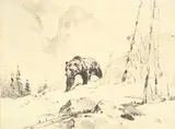 Carl Rungius, Lord of the Canyon
