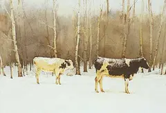 John Webster, Cattle in a Clearing, watercolour on paper