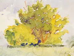 James Dichmont, Untitled - Sketch of Tree, watercolour on paper