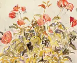 Freda Pemberton Smith, Untitled - Poppies, watercolour on paper