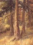 Nora Drummond, June, oil on paper board