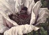 Joseph Cross, Field Marshall, acrylic on canvas
