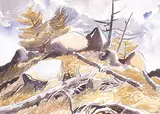 Henry George Glyde, Deadfall, 1982
