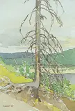 Robert Guest, Dead Spruce, Banks of the Wapiti, 1994, watercolour on paper