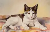 Janice Dawn Keirstead, Purrfect, watercolour on paper