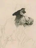 Harmensz Van Ryn Rembrandt, Old Man Shading His Eyes With His Hand, 1639, etching on paper