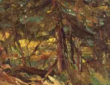 William Lewy Leroy Stevenson, Stem of a Spruce