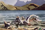 Margaret Shelton, Untitled - Driftwood on a Mountain Lake