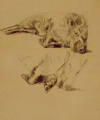 Horatio Walker, Untitled - Two Sketches of a Boar, pencil on paper