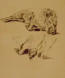 Horatio Walker, Untitled - Two Sketches of a Boar, pencil on paper