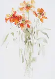 Molly Lamb Bobak, Tulips