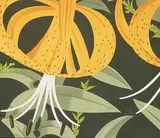 Alex Katz, Superb Lilies #61/90, 1972, silkscreen on paper