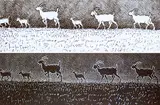 Joseph Fafard, Isaac's Goats #5/20, 1987, etching on paper