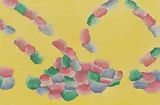 Gershon Iskowitz, Yellow Variations #27/60, 1983, lithograph on paper