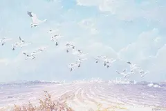 Tom Troy, Snow Geese, Last Stop, acrylic on canvas