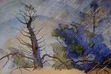 Annora Brown, Rain