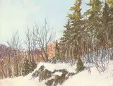 Horace Champagne, Sunset Glow on Top of the Pines, Gatineau Park, Quebec