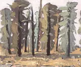 Stanley Morel Cosgrove, Untitled - Trees in Summer