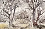 Henry George Glyde, Trees